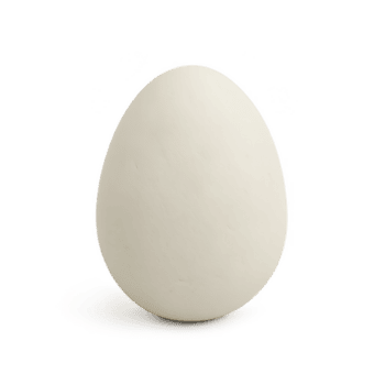 A single smooth offwhite egg standing upright with a matte shell and subtle shading. png
