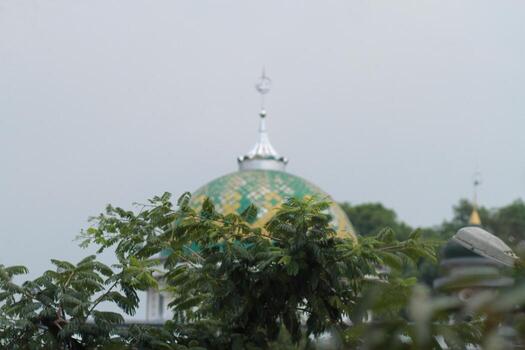 a view of a mosque from behind a tree photo