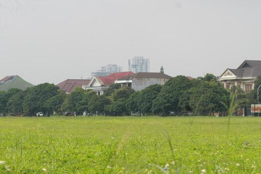 a field with tall grass and buildings in the background photo