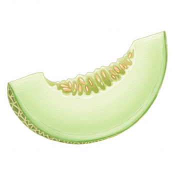Slice Of Honeydew Melon With Visible Seeds Isolated Transparent Background Transparent Background png