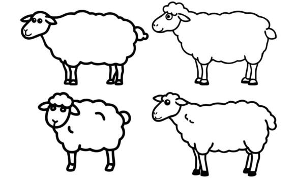 Four sheep in different poses vector