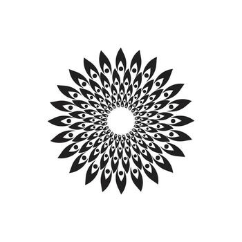 Feathers logo element and symbol vector