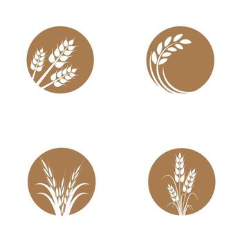 Wheat icons in circular designs vector