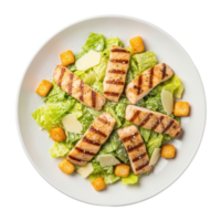 Grilled Chicken Salad On White Plate With Romaine Lettuce And Parmesan Cheese Isolated On Transparent Background png