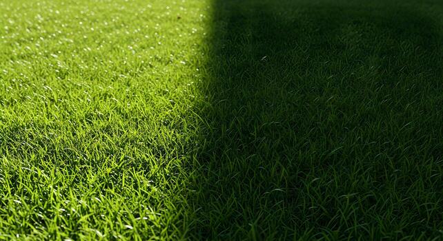 A grassy field with a soccer ball in the middle photo