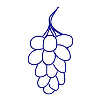 Simple line drawing of a bunch of grapes hanging from a vine in a minimalist style vector