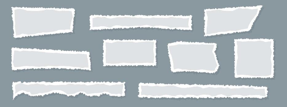 A set of realistic uneven gray torn or ripped pieces of paper with grunge edges. An uneven notebook page or a scrap of paper with a damaged edge. rip texture vector