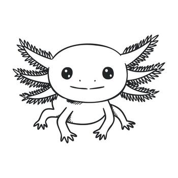 Adorable axolotl line drawing with cute expression and detailed gill features vector