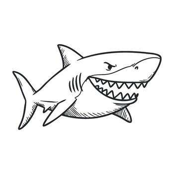 Fierce shark outline with sharp teeth and powerful fins vector