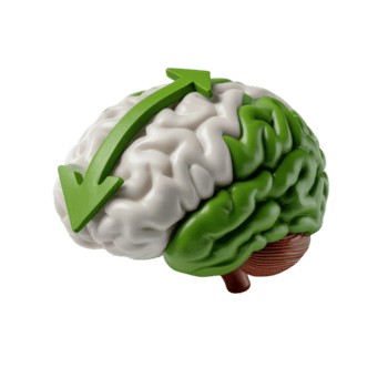 Abstract Visualization of Brain with Arrows Indicating Growth and Development in a Modern Style png