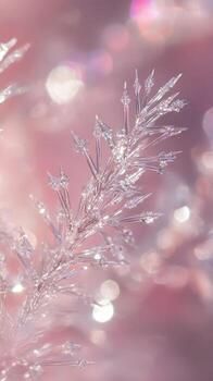 Macro photograph shows a delicate ice crystal snowflake structure against a soft, bokeh background photo