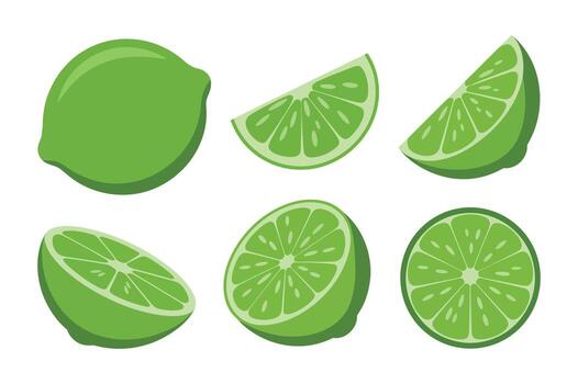 Fresh Green Lime Fruit Whole and Sliced Segments for Culinary Use and Refreshing Beverage Ingredient vector