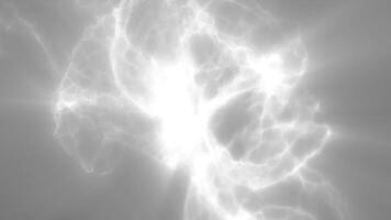 zacht wit digitaal golven rimpeling en kromme over- een grijs achtergrond, vormen een elegant lichtgevend structuur van abstract beweging video