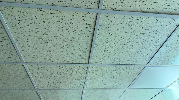 Black speckled tiles arranged in a grid framework pattern form the ceiling visible overhead photo
