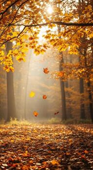 Golden autumn leaves fall gently in sunlit forest path photo
