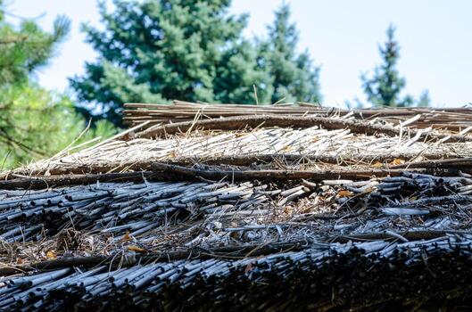 A roof made of straw and wood is covered in snow. The snow is piled up on top of the straw, creating a cozy and rustic atmosphere. The roof is likely part of a cabin or a small house photo