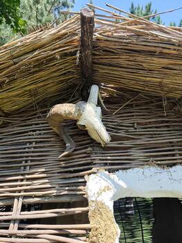 A white skull is hanging from the roof of a hut. The skull is surrounded by a lot of wood, which gives the hut a rustic and primitive feel. The skull is the focal point of the image photo
