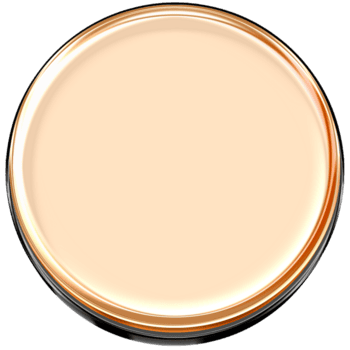 Shiny Golden Round Button with Metallic Gloss for Luxury Interface and Design Elements png