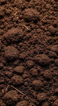 Vertical closeup of dark, moist soil with visible texture photo