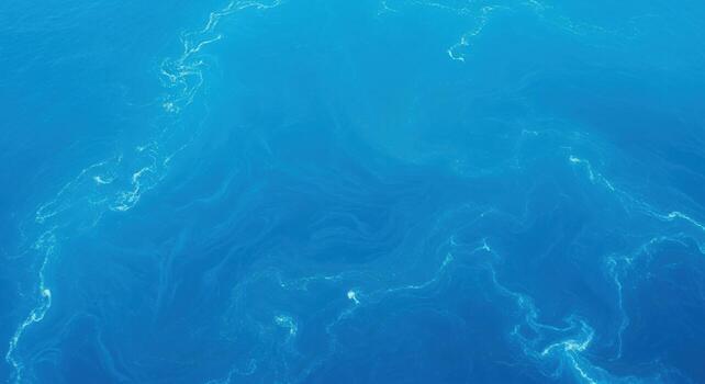 Closeup view of the shimmering blue ocean surface with gentle waves photo