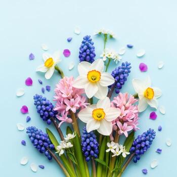 A beautiful spring bouquet of daffodils and hyacinths on a blue background photo