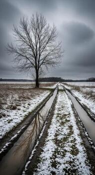 Leafless tree stands by a muddy, snowdusted track in winter photo