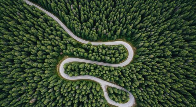 Aerial view of a winding road through a dense green pine forest image photo
