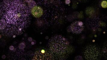 ciclo animação fogo de artifício partículas flutuando em Preto abstrato fundo video