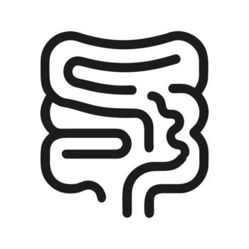 Large and Small Intestine Icon Anatomical Structure in Line Art Style Isolated vector