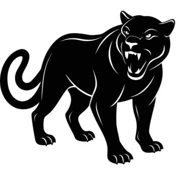 Black panther snarling with open mouth and sharp teeth on a white background big cat feline vector
