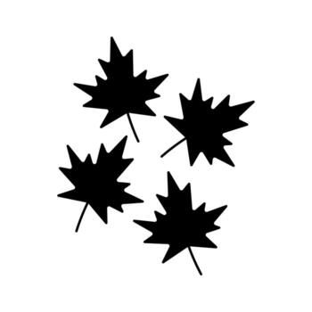 maple leaves shows the characteristic five points and jagged edges vector