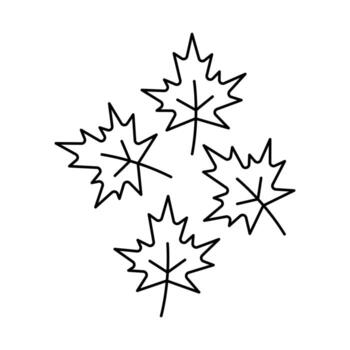 maple leaf outlines arranged in a loose cluster vector