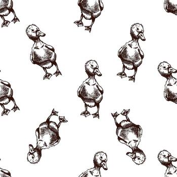 hand-drawn duck pattern illustration vector