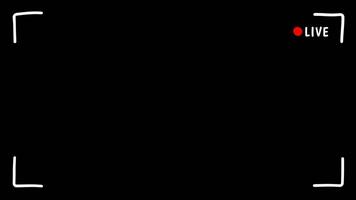 Live screen scribble motion graphic with alpha channel. Streaming with number of viewer frame animated on transparent background. Camera, shooting, footage. video