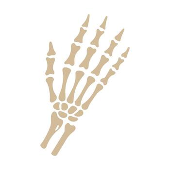 A skeleton hand is shown in a white background. The skeleton hand is shown in a very detailed manner, with each bone clearly visible. Concept of fragility and mortality vector