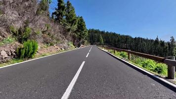 A beautiful winding road through lush forests, perfect for thrilling drives or exciting cycling adventures video