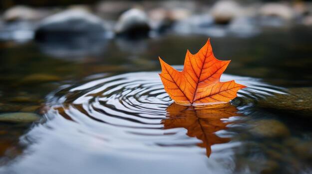 A vibrant orange maple leaf drifts gently on the water's surface, creating serene ripples. The scene captures the essence of autumn in a tranquil outdoor environment photo