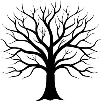Silhouette of a bare deciduous tree with intricate branching patterns on a white background branches vector