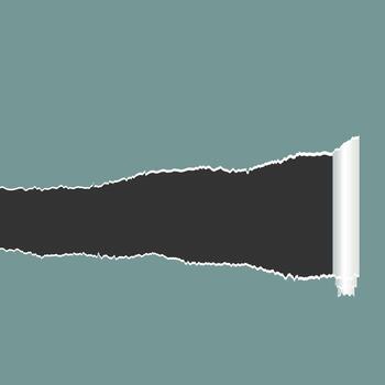 Torn paper with a roll edge revealing dark space vector