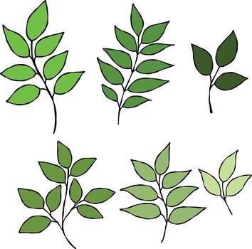 decorative leafy branches with various shapes vector