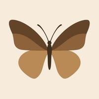 A Simple Brown Butterfly, a Symbol of Nature vector