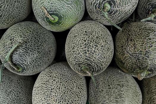 Close-up of fresh cantaloupes with detailed netted skin texture, displaying natural patterns and green tones, perfect for healthy food concepts. photo