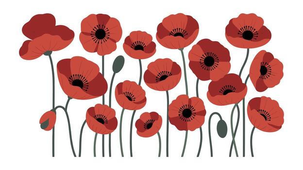 Array of Red Poppies with Green Stems and Buds flowers floral vector