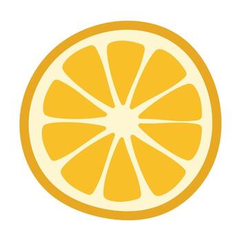 Hand drawn citrus slice isolated on white background. Flat style vector