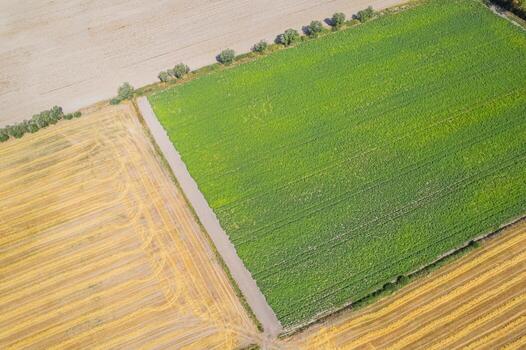 labor de retazos de granja campos creando un natural modelo y textura. foto