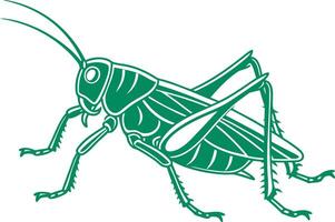 realista saltamontes con natural textura saltamontes insecto obra de arte para naturaleza proyectos vector