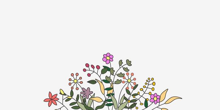 Colorful flower and leaf template background with negative area for text. Floral template background with one side element on below side vector