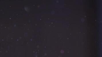 flutuando poeira partículas dentro uma Sombrio ambiente. abstrato espaço textura. bokeh efeito em microscópico elementos para fundo imagens de vídeo. video