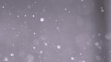 flutuando partículas dentro ar com bokeh efeito. abstrato branco poeira ou neve mosca e cintilar em fundo. video