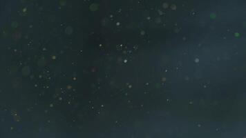 flutuando partículas dentro ar com bokeh efeito. abstrato branco poeira ou neve mosca e cintilar em cinzento fundo. video